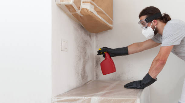 Professional Attic Mold Remediation technician working in Church Hill, PA