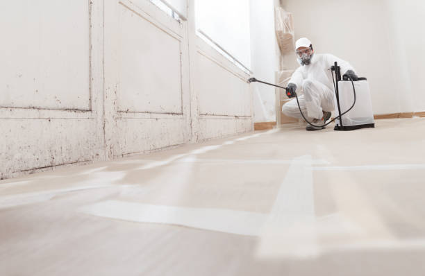24/7 Emergency Attic Mold Remediation experts in Church Hill, PA