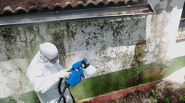 Top rated local Attic Mold Remediation specialists in Church Hill, PA